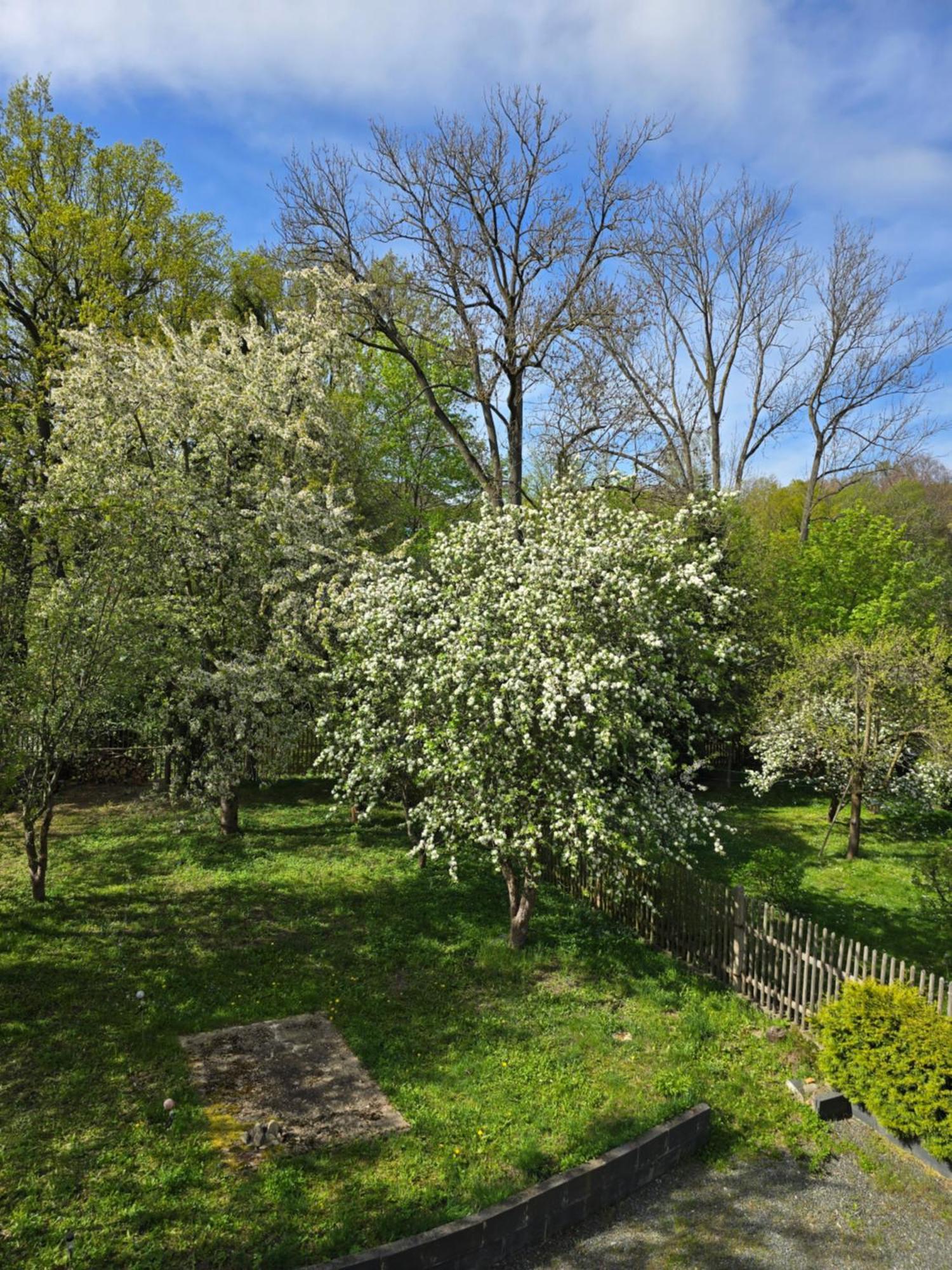 Villa Kuechwald ケムニッツ エクステリア 写真