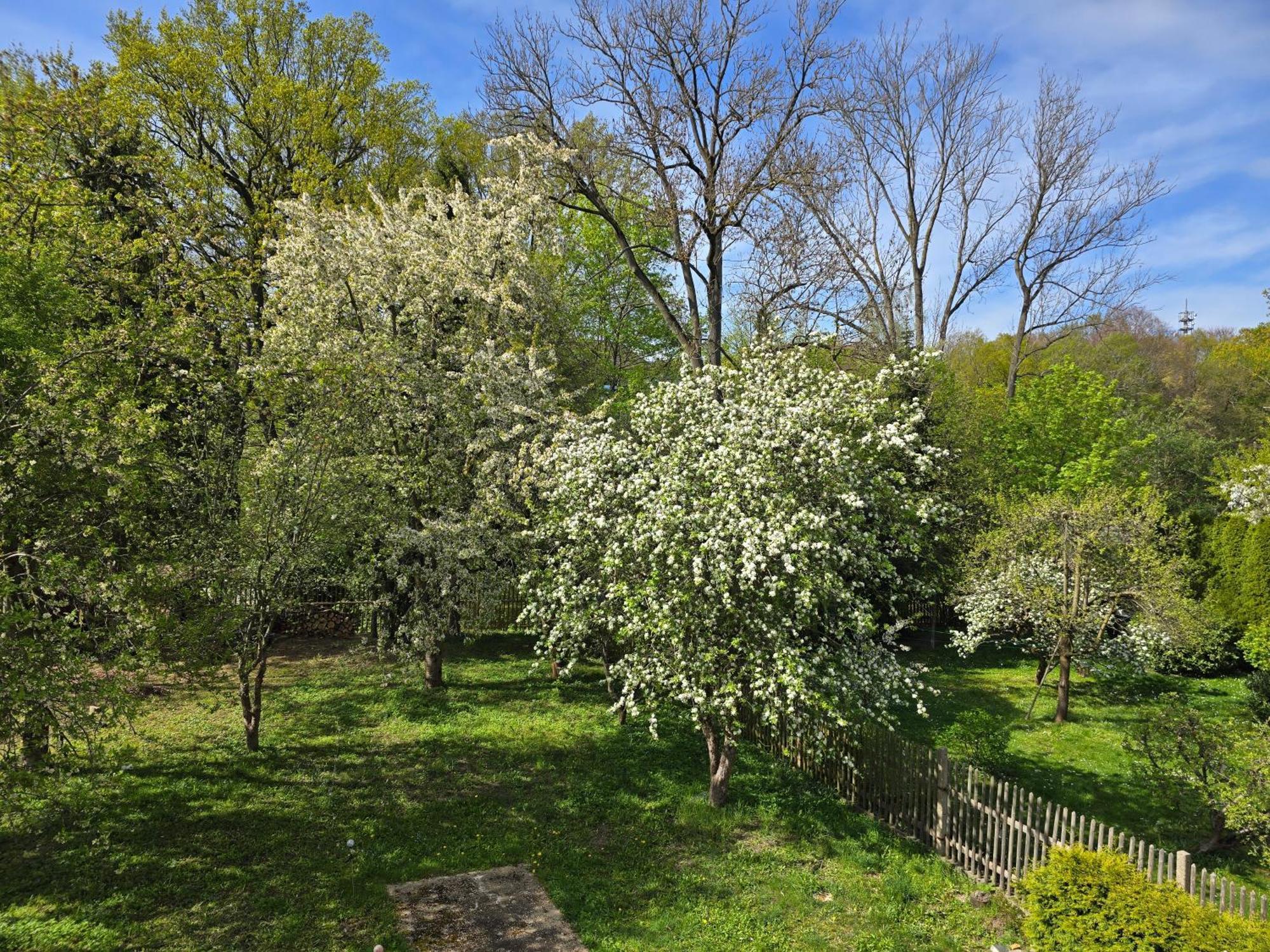 Villa Kuechwald ケムニッツ エクステリア 写真
